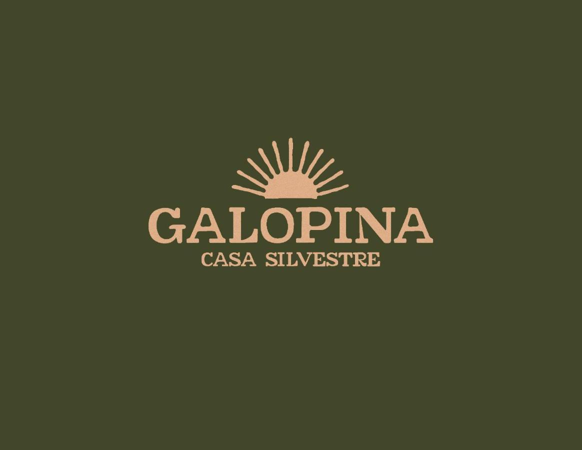 Galopina Bed & Breakfast Seye Exterior photo